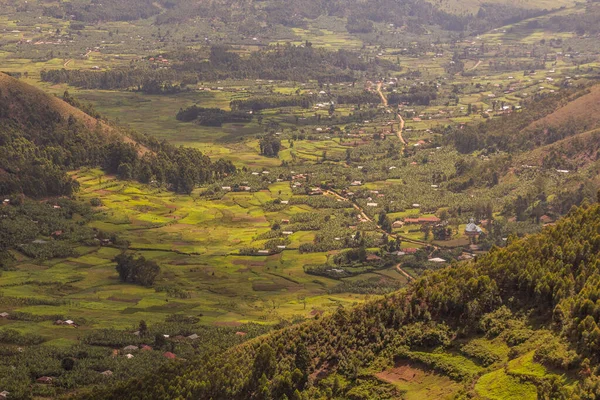 乌干达Kabale附近的一片茂密的风景 — 图库照片