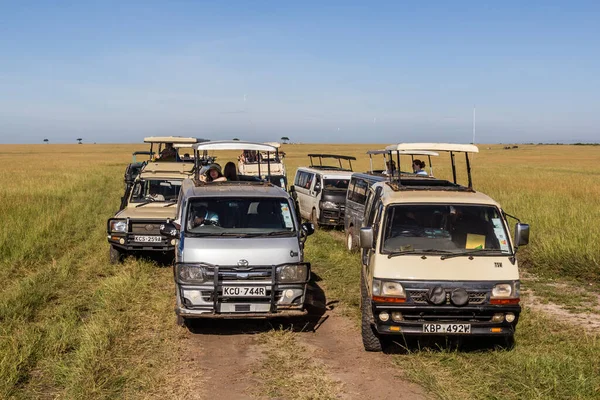 Masai Mara Kenya Fevereiro 2020 Veículos Safari Reserva Nacional Masai — Fotografia de Stock