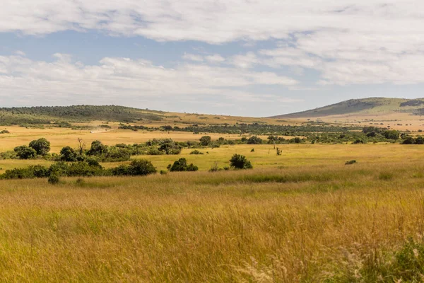 Landscape Masai Mara National Reserve Kenya — Stock Photo, Image