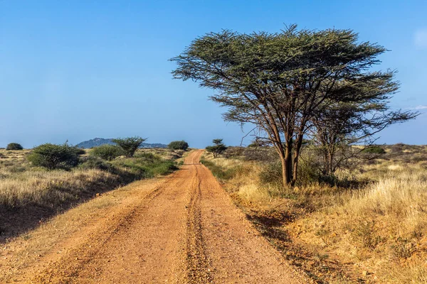 Camino Grava Cerca Aldea South Horr Kenia — Foto de Stock