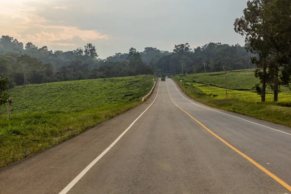 ムベンデ ウガンダの茶畑を通るポータル道路 — ストック写真