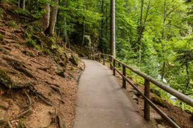 Baden-Wuerttemberg, Almanya 'daki Kara Orman bölgesindeki Triberg Şelaleleri' ne giden yol