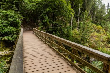 Baden-Wuerttemberg, Almanya 'daki Kara Orman Bölgesi' ndeki Triberg Şelaleleri üzerindeki yaya köprüsü