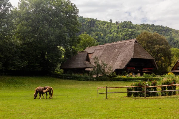 Almanya Nın Baden Wuerttemberg Kentindeki Gutach Köyündeki Kara Orman Açık — Stok fotoğraf