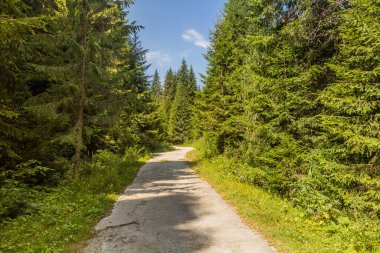 Bulgaristan 'ın Rila dağlarında yol