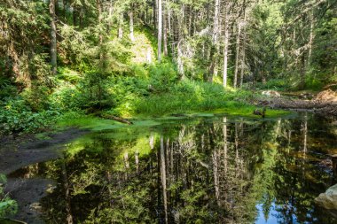 Bulgaristan 'ın Rila dağlarındaki küçük göl