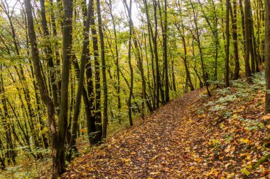 Çek Cumhuriyeti, Cesky Kras doğa koruma alanında yürüyüş yolu