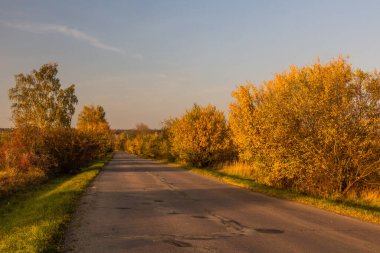 Çek Cumhuriyeti, Milovice yakınlarındaki bir yolun sonbahar manzarası