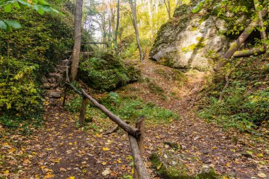 Çek Cumhuriyeti 'nin Cesky Kras doğa koruma alanında Bubovicke vodopady şelalelerinde yürüyüş yolu (fotoğrafta su olmadan)