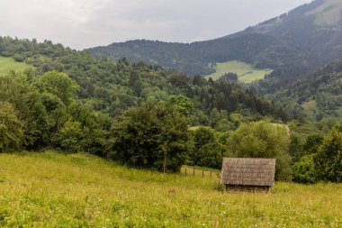 Slovakya 'nın Nizke Tatry dağlarındaki Vlkolinec köyü yakınlarındaki dağlar