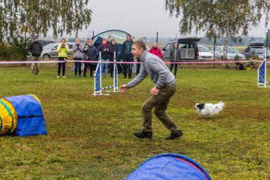 LYSA NAD LABEM, CZECH REUBLIC - 28 Eylül 2020: Çek Cumhuriyeti Lysa nad Labem 'de çeviklik yarışması sırasında köpek ve bir idareci