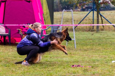LYSA NAD LABEM, CZECH REUBLIC - 28 Eylül 2020: Çek Cumhuriyeti Lysa nad Labem 'de çeviklik yarışmasında köpek ve idareci