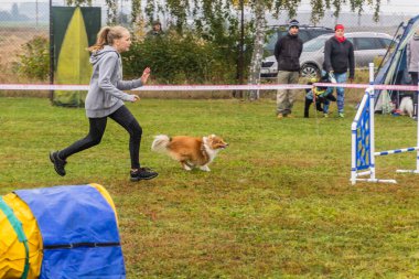 LYSA NAD LABEM, CZECH REUBLIC - 28 Eylül 2020: Çek Cumhuriyeti Lysa nad Labem 'de çeviklik yarışması sırasında köpek ve bir idareci