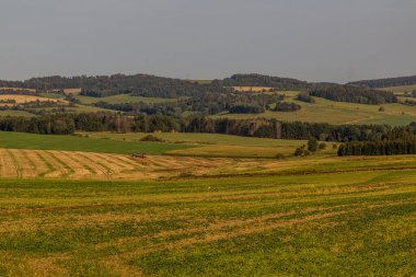 Çek Cumhuriyeti Tabor yakınlarındaki manzara