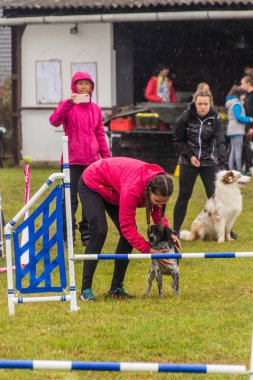 LYSA NAD LABEM, CZECH REUBLIC - 28 Eylül 2020: Çek Cumhuriyeti Lysa nad Labem 'de çeviklik yarışması sırasında köpek ve bir idareci
