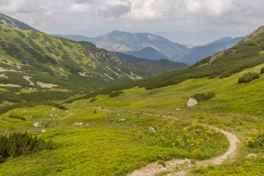 Slovakya 'nın Nizke Tatry dağlarındaki Siroka dolina vadisinde yürüyüş yolu.