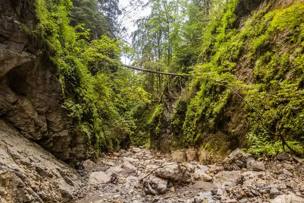 Slovakya 'nın Nizke Tatry dağlarındaki Huciaky vadisi