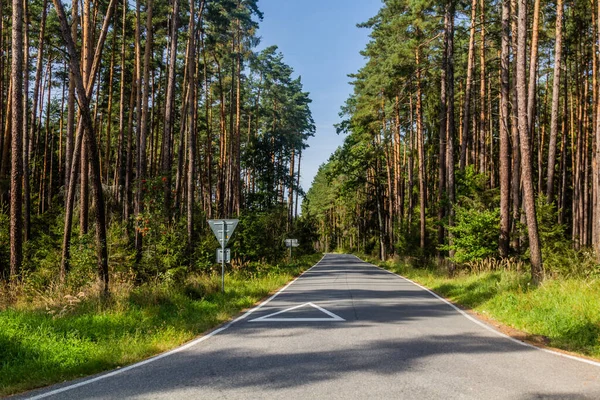 Çek Cumhuriyeti Tabor yakınlarındaki kırsal yol