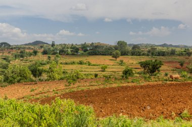 Konso manzarası, Etiyopya