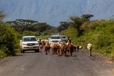 OMO VALLEY, ETHIOPIA - 3 Şubat 2020: Omo Vadisi, Etiyopya 'da trafik sıkışıklığı