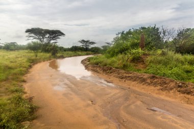 Omo Vadisi 'ndeki çamurlu yol, Etiyopya