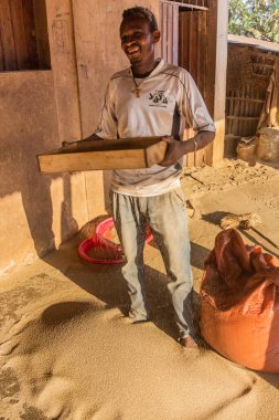 JINKA, ETHIOPIA - 5 Şubat 2020: Teff tahıl satıcısı Jinka, Etiyopya