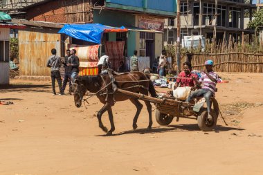 YABELO, ETHIOPIA - 8 Şubat 2020: Yabelo kasabasında at arabası, Etiyopya