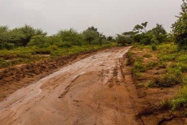Omo Vadisi 'ndeki çamurlu yol, Etiyopya