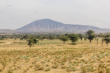 Etiyopya 'daki Bora Bericcio Dağı