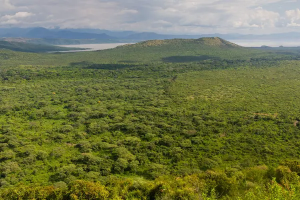 Повітряний Вид Національного Парку Нехісар Озером Чамо Ефіопія — стокове фото