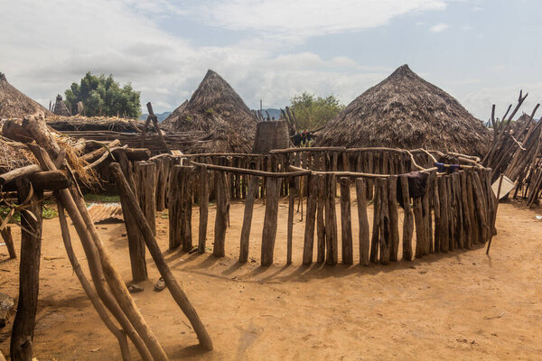 Huts and a goat pen in Korcho village, Ethiopia