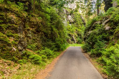 National Park Bohemian İsviçre, Çek Cumhuriyeti 'nde yol