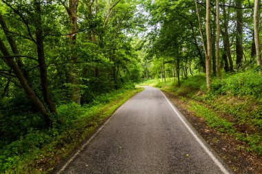 Çek Cumhuriyeti 'nin Ceske Stredohori kentindeki kırsal yol