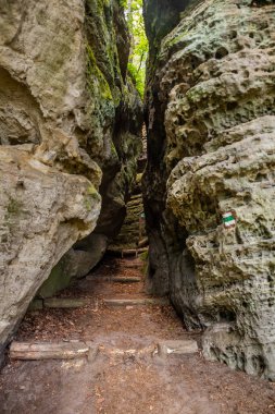 Çek Cumhuriyeti 'nin Machuv Kraj, Kokorinsko Bölgesi' ndeki kayalıklarda yürüyüş yolu.