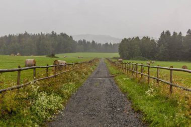 Çek Cumhuriyeti 'nin en güney noktasındaki çayırlar