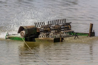Çek Cumhuriyeti 'nin Güney Bohemya kentindeki Machovec balık havuzunda havacı.