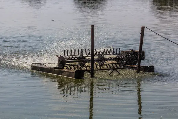 Çek Cumhuriyeti 'nin Güney Bohemya kentindeki Machovec balık havuzunda havacı.