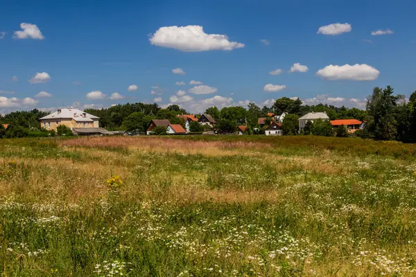 View Jestrebice Village Czech Republic — Stock Photo, Image