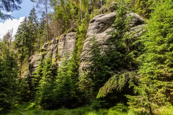 Πέτρες Ένα Δάσος Στο Εθνικό Πάρκο Bohemian Ελβετία Τσεχική Δημοκρατία — Φωτογραφία Αρχείου