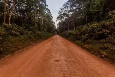 Road in Kakamega Forest Reserve, Kenya clipart