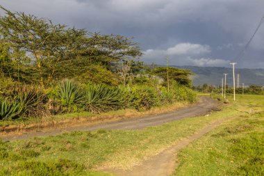 Road near Longonot village, Kenya clipart