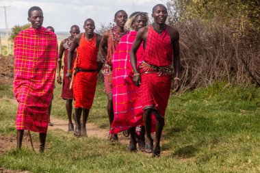 MASAI MARA, KENYA - 20 Şubat 2020: Masai halkı zıplama dansını yapıyor, Kenya