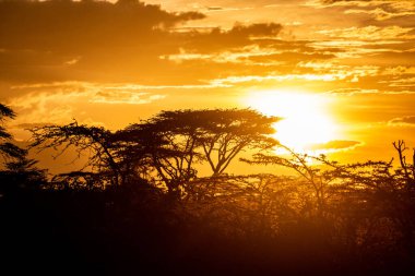 Masai topraklarında gün batımı, Kenya