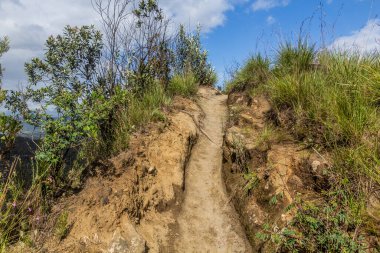 Kenya 'daki Longonot volkan kraterinin kenarında yürüyüş izleri var.