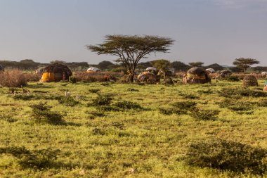 Kenya 'nın kuzeyinde Kargi yakınlarında bir köy.