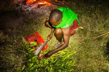 MASAI MARA, KENYA - 20 Şubat 2020: Masai adam keçi bacağı kesiyor, Kenya