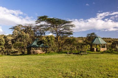 Kenya 'daki Longonot Ulusal Parkı' nda dinlenme alanı.