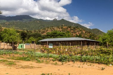 Kenya, Güney Horr köyündeki ev.
