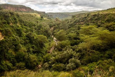 Kenya 'daki Hell' s Gate Ulusal Parkı 'nda.