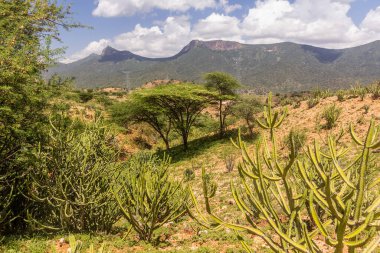 Kenya, Güney Horr köyü yakınlarındaki manzara